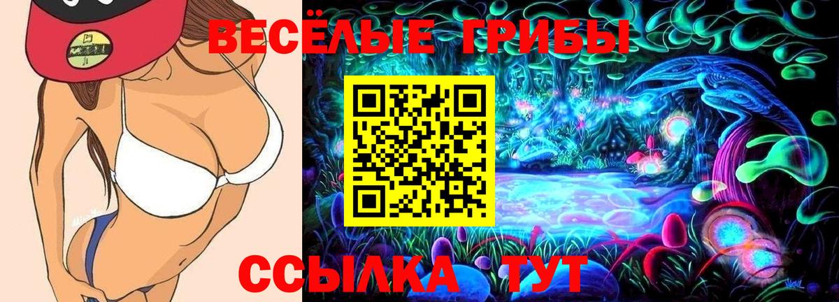 Псилоцибиновые грибы прущие грибы  Вход с VPN  купить закладку  Псилоцибиновые грибы мухоморы  Губкин 